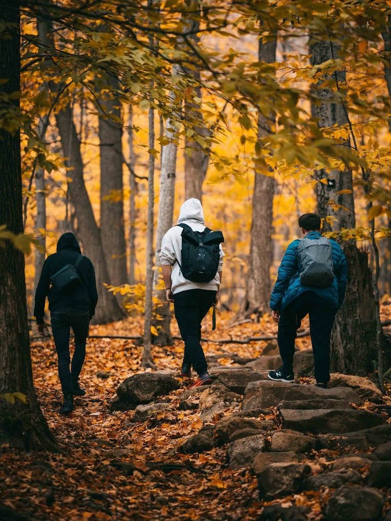Three men hiking together through an autumn forest